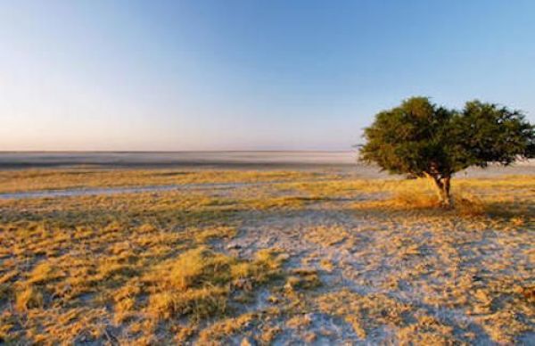bots_houseb_safari_15_copy.jpg