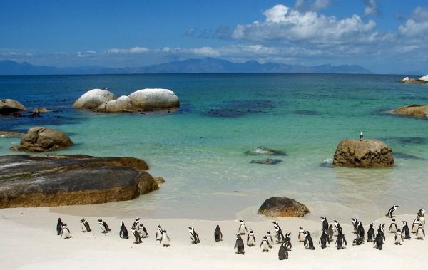 cape_town_tour1755772794.jpg