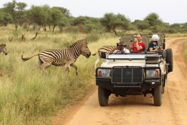 kruger park safari holidays