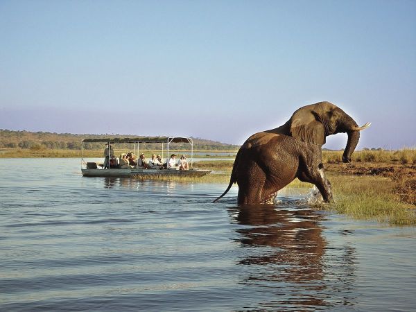 vic_falls_andchobe_15.jpg