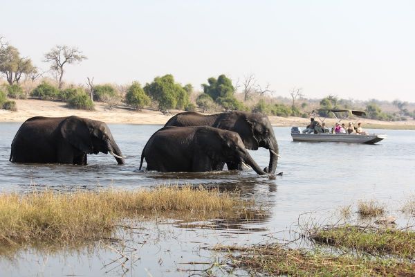 vic_falls_andchobe_2.jpg