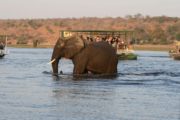 vic_falls_andchobe_6.jpg